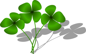 clovers-161400_6s30.png